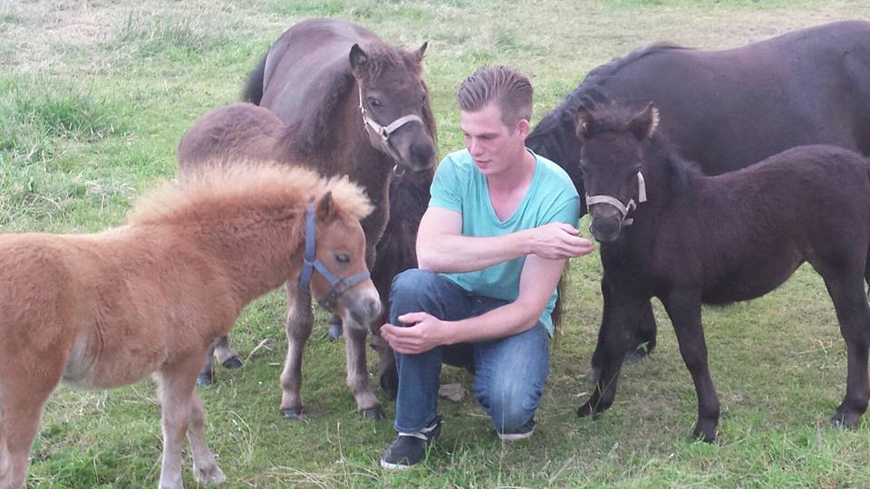 Bram met pony's